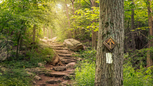 A Journey of a Thousand Miles: Hiking the Appalachian Trail