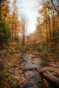 Savoring Autumn: 10 Ways to Embrace the Outdoors This Fall